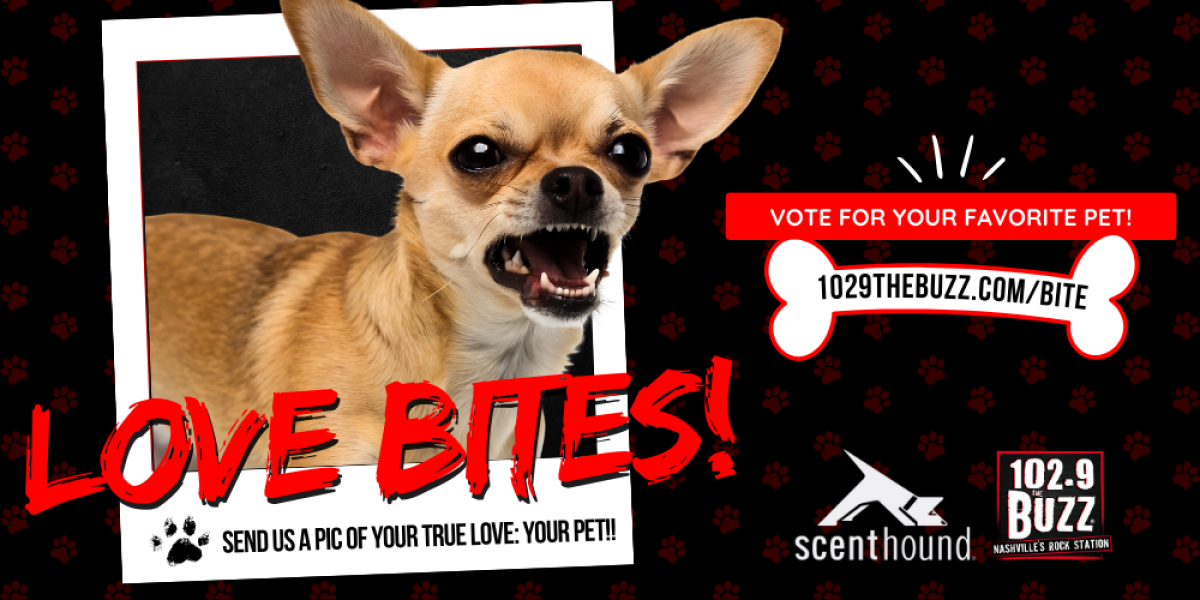 LOVE BITES: Pet Photo Contest