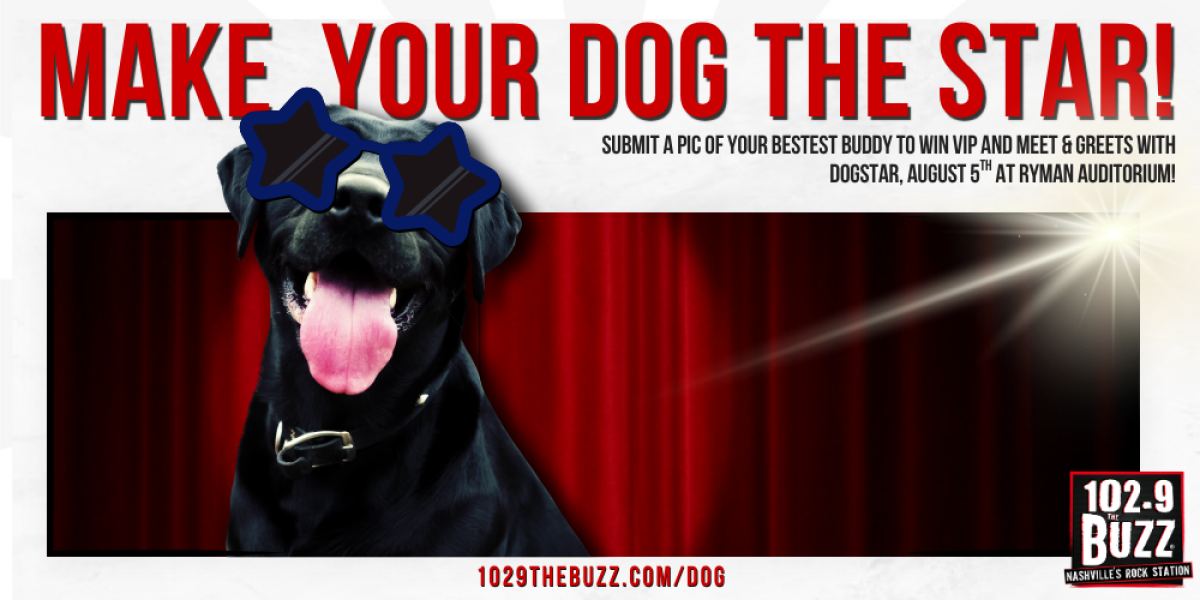 Dogstar VIP Contest
